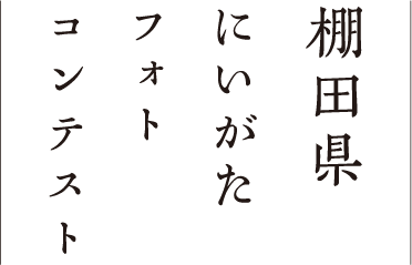 棚田県にいがたフォトコンテスト